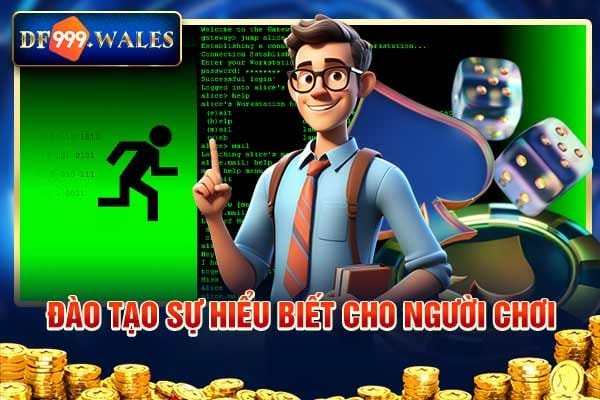 Đào tạo sự hiểu biết cho người chơi
