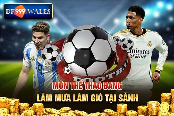 Môn thể thao đang làm mưa làm gió tại sảnh