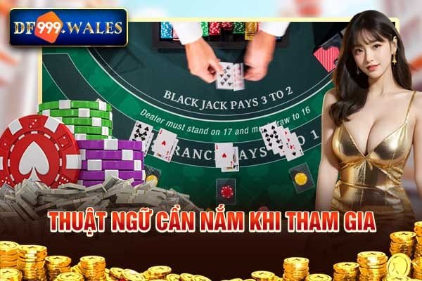Thuật ngữ cần nắm khi tham gia